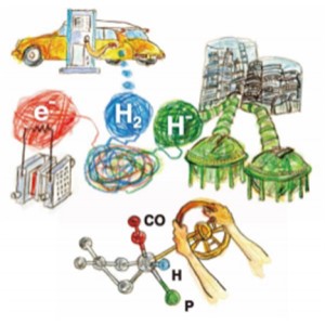 １つの触媒で３つの水素利用：燃料電池、水素製造、水素化～次世代のエネルギーである水素を効率よく利用する道の開拓～