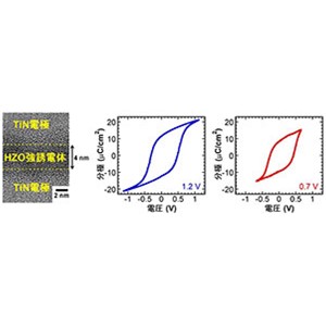 低電圧かつ長寿命のハフニア系強誘電体メモリを開発 ～半導体不揮発性メモリの低消費電力と信頼性の飛躍的向上～