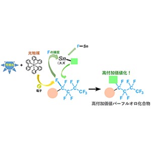 光とスズの協働による炭素－フッ素結合の変換 ～入手容易な原料から含フッ素医薬品への短工程プロセス化に期待～