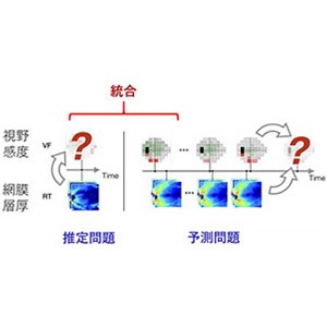 網膜層厚を用いた緑内障視野予測のための新機械学習技術を開発 ～視野感度の推定精度向上と視野欠損予測で治療計画に貢献～