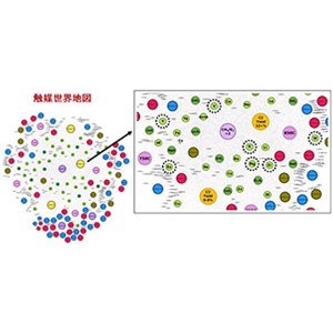 触媒ビッグデータから「触媒世界地図」を描写 ～ブラックボックス化していた触媒設計をひもとく～