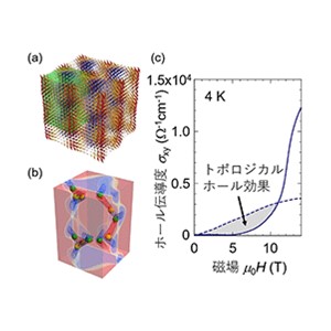 トポロジカルスピン構造から生じる磁気光学応答の観測に成功