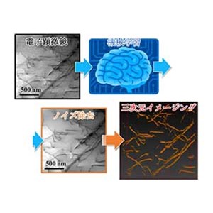 機械学習による世界最速の3次元電子顕微鏡ナノイメージング