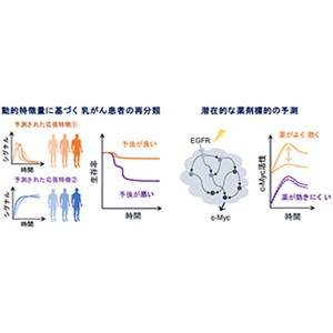 イン・シリコ患者固有モデルでがんの予後と薬剤応答を予測～細胞シミュレーションによる疾患分類法の開発～