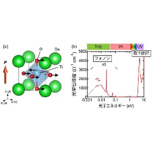 テラヘルツ光を電流へ変換する新原理の発見～量子位相効果を用いた格子振動による光起電力効果の実証～