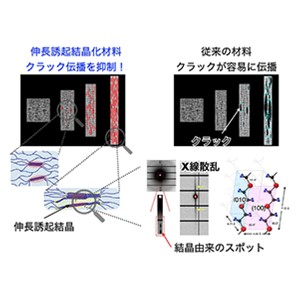 伸びすぎるゲル　引き算の構造設計で理論限界近くまで伸びるゲルの開発に成功