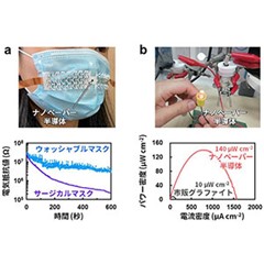 木材由来、電気特性と3D構造をカスタマイズできるナノ半導体を創出～持続可能なエレクトロニクスの実現に道～