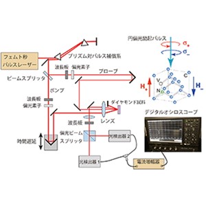 ダイヤモンド中に10兆分の1秒で瞬く磁化を観測～超高速時間分解磁気センシング実現に期待～