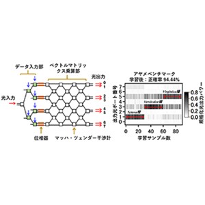 シリコン光集積回路のみで作動するニューラルネットワーク演算技術を開発～デジタル電子回路を補完する超低遅延、かつ低消費電力な光AI基本技術を確立～