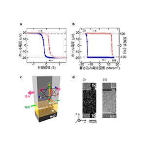 反強磁性体における垂直２値状態の電流制御に成功～不揮発性メモリーの超高速化・超低消費電力化への大きな一歩～