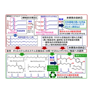 ポリエステルの分解・ケミカルリサイクルを実現する高性能触媒を開発～植物油から化学品を合成する技術を適用、プラごみ問題の解決に道～