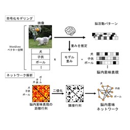 統合失調症の脳における「意味関係の乱れ」を発見