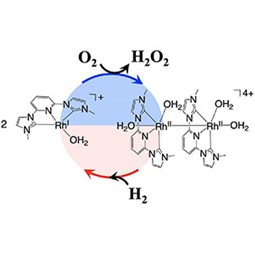 水素と酸素から過酸化水素を安全に合成する触媒を開発～次世代のエネルギーである水素を利用した合成反応の開拓～