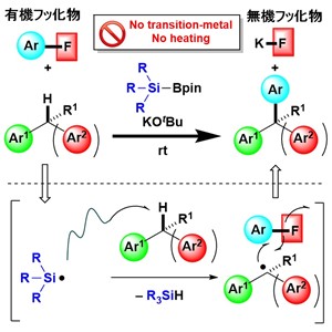 遷移金属触媒不要のクロスカップリング反応を実現 －SDGsを指向した新しい医薬品材料合成技術－