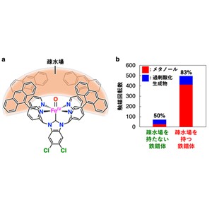 メタンをメタノールに効率よく変換する鉄錯体触媒を開発