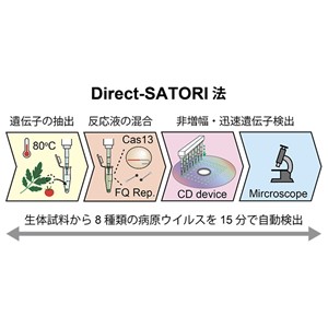 世界最速・簡易遺伝子検査法「Direct-SATORI法」の開発 －汎用的ウイルス検査法として農業・医療分野での実用化に期待－