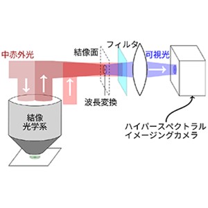 中赤外ハイパースペクトルイメージングを桁違いに高速化～動的変化も測定可能、がん組織の高速診断応用に期待～