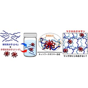 「高分子のリングとひも」 マクロロタキサン の合成に成功～時間がたってもにじみ出さない高分子添加剤として期待～