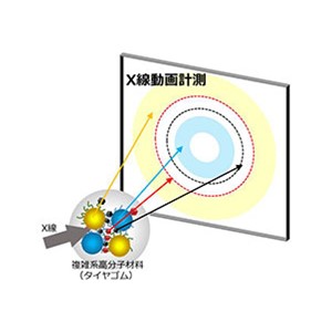 世界最速890ナノ秒で微粒子と高分子の動きを同時にとらえた～高精度なタイヤゴム劣化評価の実現に近づく～