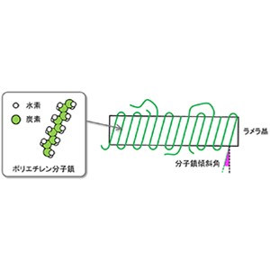 ポリエチレン分子鎖の向きを可視化することに成功～最新の電子顕微鏡法で汎用プラスチックの基礎的構造を観察～