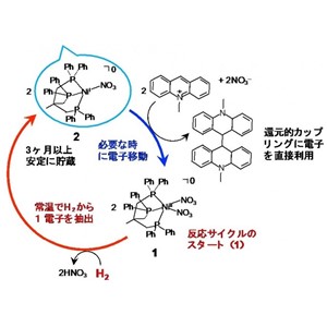 水素を電子として利用する水素エネルギーキャリアの開発