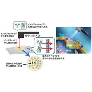 膜を傷つけず細胞内に薬を届ける新技術～インクジェットプリンター技術の活用でがん細胞に直接アプローチ～