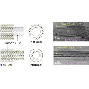 組成・構造の多彩な無機ナノチューブの合成技術を世界に先駆けて開発 ～高効率な太陽電池への応用展開に期待～