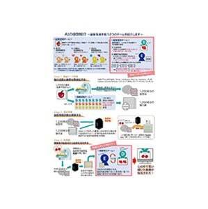 心に描いた風景を脳信号から復元～生成系AIと数理的手法を用いた新たな技術を開発～