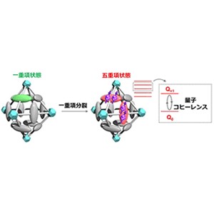 五重項状態の室温量子コヒーレンスの観測に成功～超高感度な量子センシングへの重要な一歩～