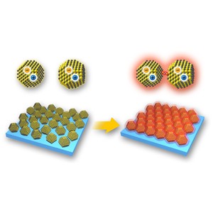 集めてつなげば協力し合う、量子ドットの新しい協同効果を発見して非線形光電流の増幅に成功―太陽電池、光エネルギーの有効利用につながる新現象ー