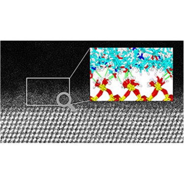 接着と剥離のメカニズムを計測と計算の融合で分子レベルから解明～複合材料軽量化や解体性向上で低炭素・循環型社会に貢献～