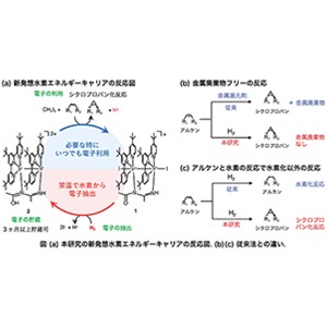 水素の電子を常温で抽出・貯蔵して、必要な時に有機合成に利用～金属廃棄物フリーのクリーンな反応を実現する新しいエネルギーキャリアを開発～