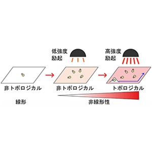 非線形トポロジカル物質の基本原理を解明～頑健性と柔軟性を併せ持つデバイスの設計原理に向けて～
