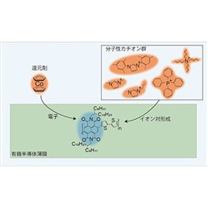 有機半導体の電子ドーピングを飛躍的に安定化～大気下における寿命を100倍向上～
