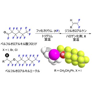 ペルフルオロアルキルエーテルの簡便合成に成功 ―環境に優しい材料開発に期待―
