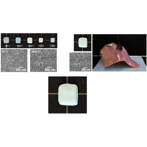 臓器への接着／脱着が可能な接着材を開発！外科手術の簡便化に期待