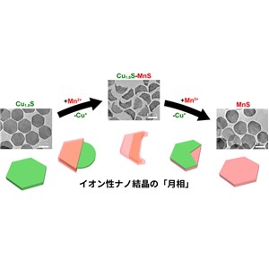 カチオン交換反応中に起こるイオン性ナノ結晶の特異な変形挙動を発見―温和な条件でのナノ結晶形状制御に向けた新たな知見―