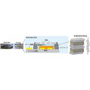 高精度な薄膜型イオンセンサーを有機半導体により実現～疑似参照電極として機能する有機半導体