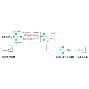 脂肪族フッ化物を用いたクロスカップリング反応 ーPFAS分解に向けた新たな道を開拓ー