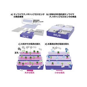 超高感度ナノワイヤナノギャップガスセンサの開発に成功～空隙を含むナノワイヤにより水素検出を超高感度化～