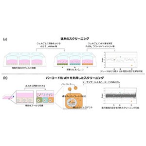 細胞外小胞の放出制御因子を網羅的に解析する方法を開発～CRISPRgRNA で「バーコード化」した細胞外小胞を活用して～
