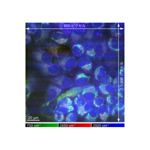 生体試料を凍らせて分子を高感度観察できるクライオ－ラマン顕微鏡を開発