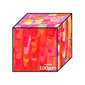 金属3Dプリンティングによる高機能な生体用インプラント材開発を加速 3DP造形物設計のためのキーパラメーターの高精度解析を可能に～弾性場の逆解析モデル構築で実現～