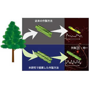 セルロースナノファイバーの欠陥を減らす～バイオマス由来ナノ材料の用途拡大に向けて～