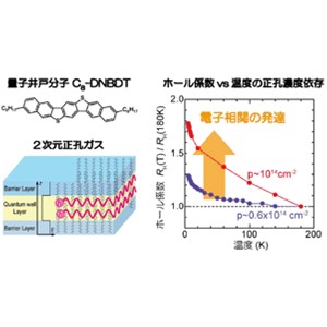 有機半導体における電子相関の発達を初めて観測～電子相関発現のメカニズム解明と量子エレクトロニクスの発展に貢献～