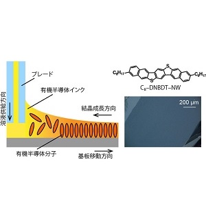 岡本 敏宏研究者ら「厚さわずか数分子、２次元有機単結晶ナノシートの大面積成膜に成功～印刷できる高速有機集積回路基板～」