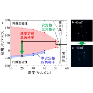 プレス発表 さきがけ