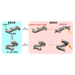 陰イオン認識化学センサーの静水圧制御に成功 ～高選択的な分子検出法を確立～
