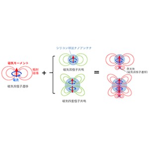 光の磁場成分を増強するナノアンテナで 未開拓な光学遷移の増強に成功 ～新しい光化学反応経路の開拓に期待～