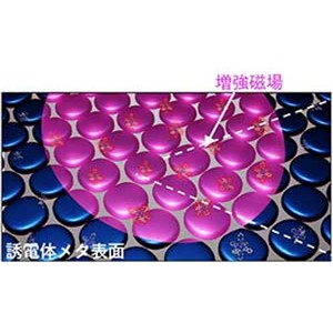 光反応のエネルギー効率を大幅に向上させる新技術を開発 ～光磁場で三重項状態の直接励起を実現～